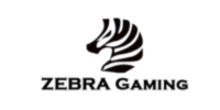 ZG電子
